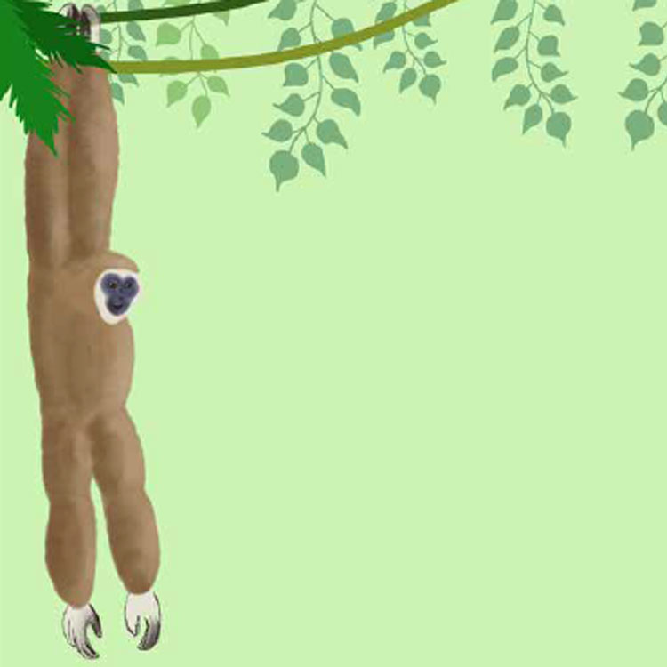 Illustration: Affe im Baum.
