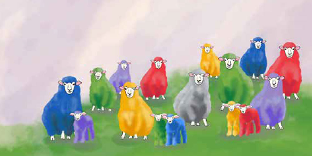 Illustration: Schafe auf Weide.