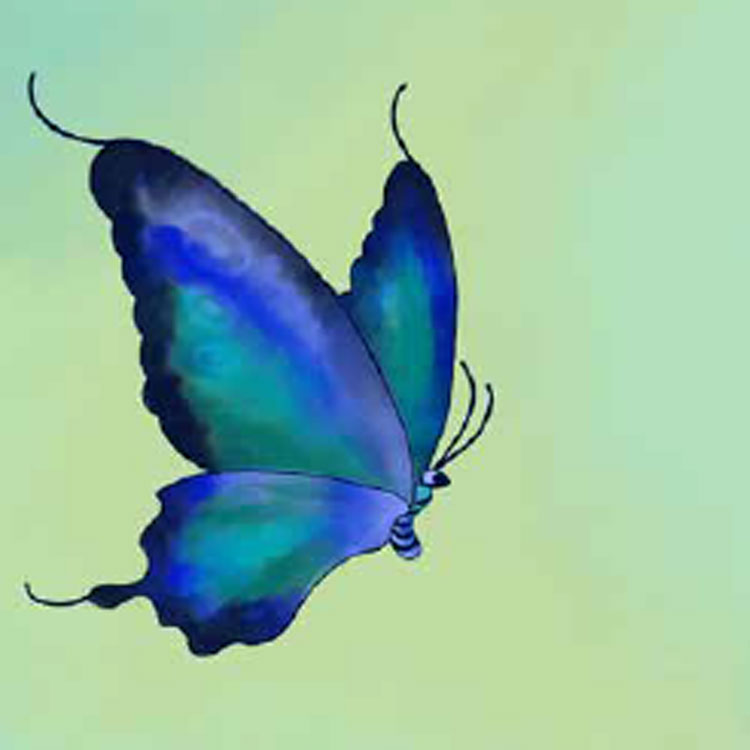 Illustration: Schmetterling