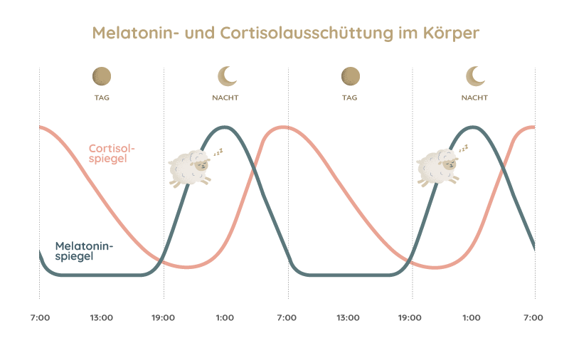 Grafik: Verlauf der Melatonin-Produktion im Körper.